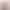 Телятина Organic Meat шийна частина охолоджена