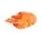 Іконка Морепродукти та молюски