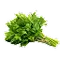 Іконка Зелень