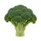 Іконка Броколі