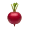 Іконка Редиска