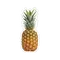 Іконка Ананас