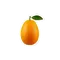 Иконка Кумкват