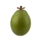 Иконка Фейхоа