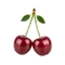 Иконка Черешня