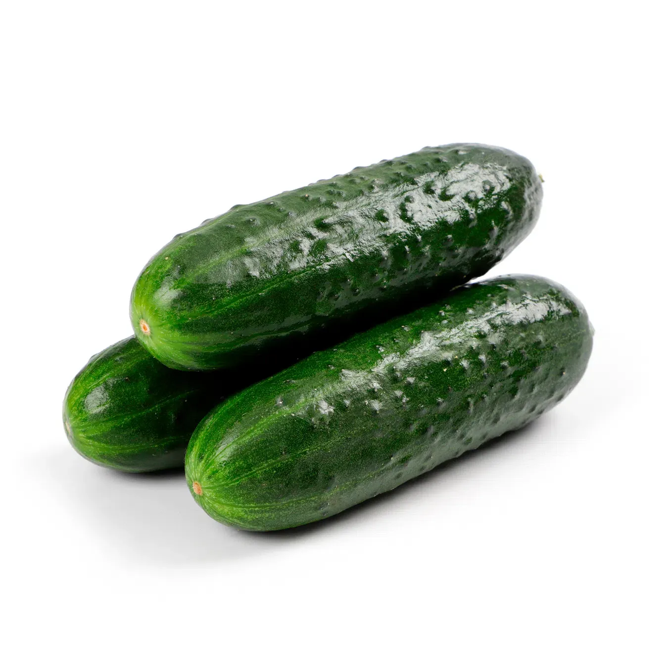 Огірок Гордій екстра - Фото 1