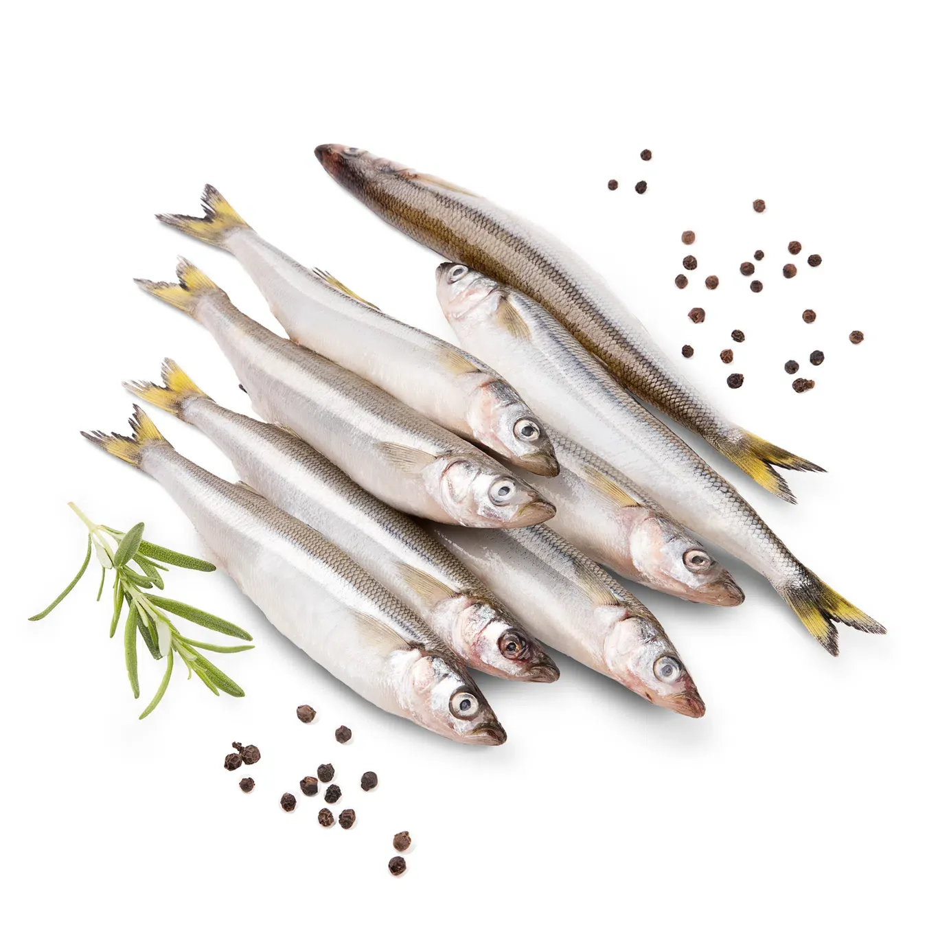 Корюшка дефростована - Фото 1