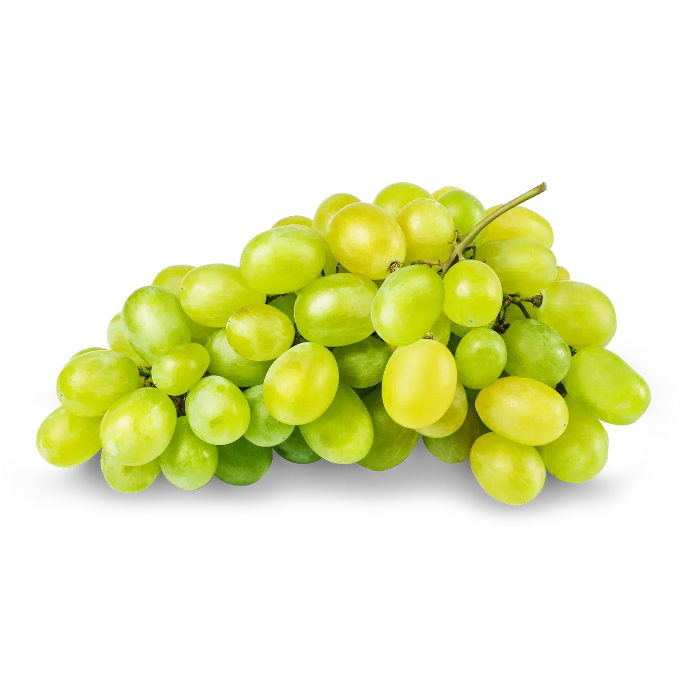 Виноград Дамський пальчик - Фото 1