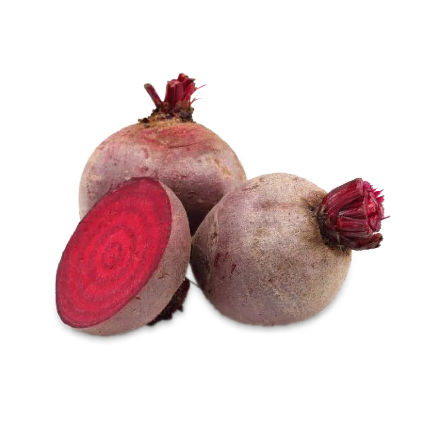 Буряк відбірний - Фото 1