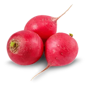 Редька червона - Фото 1