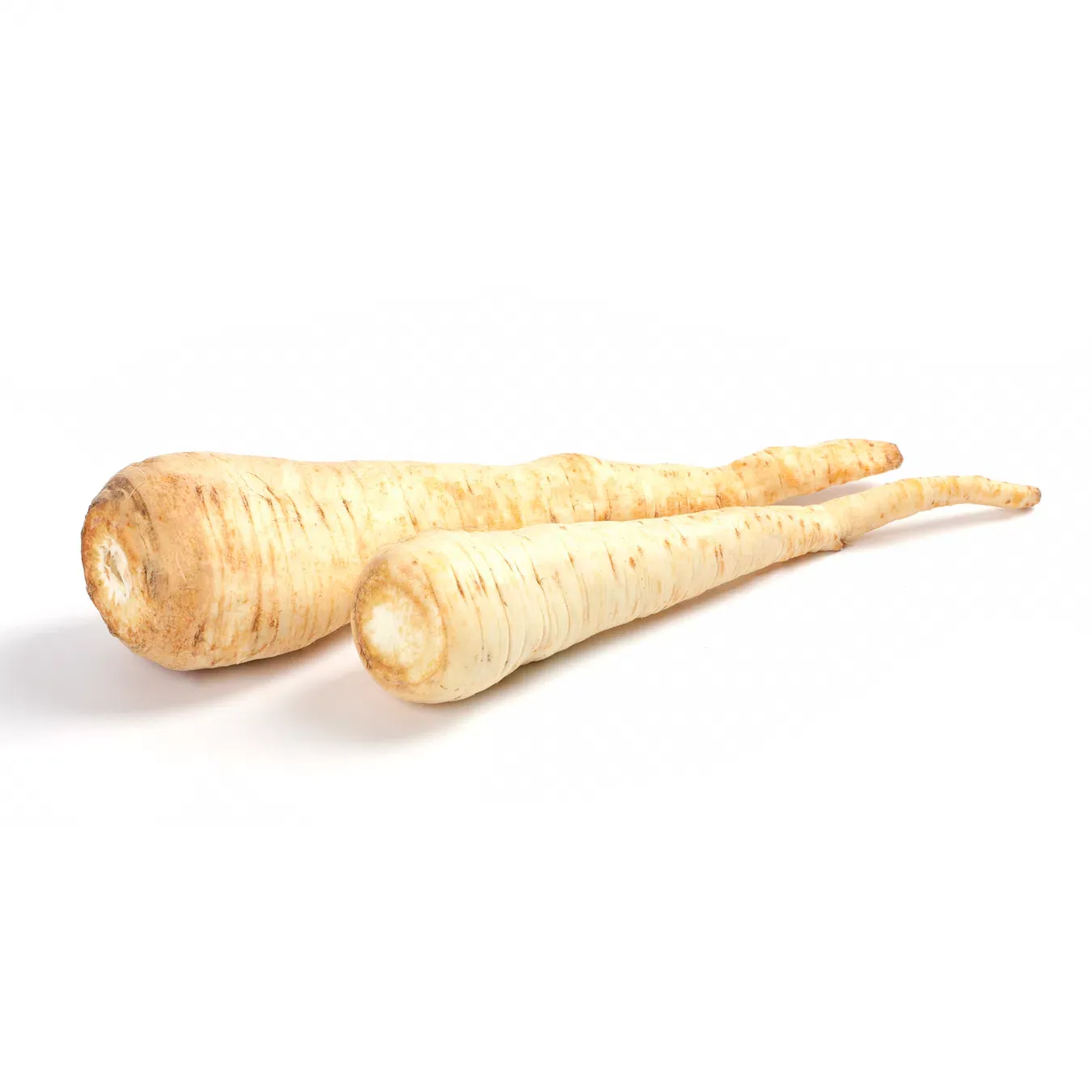 Корінь петрушки - Фото 1