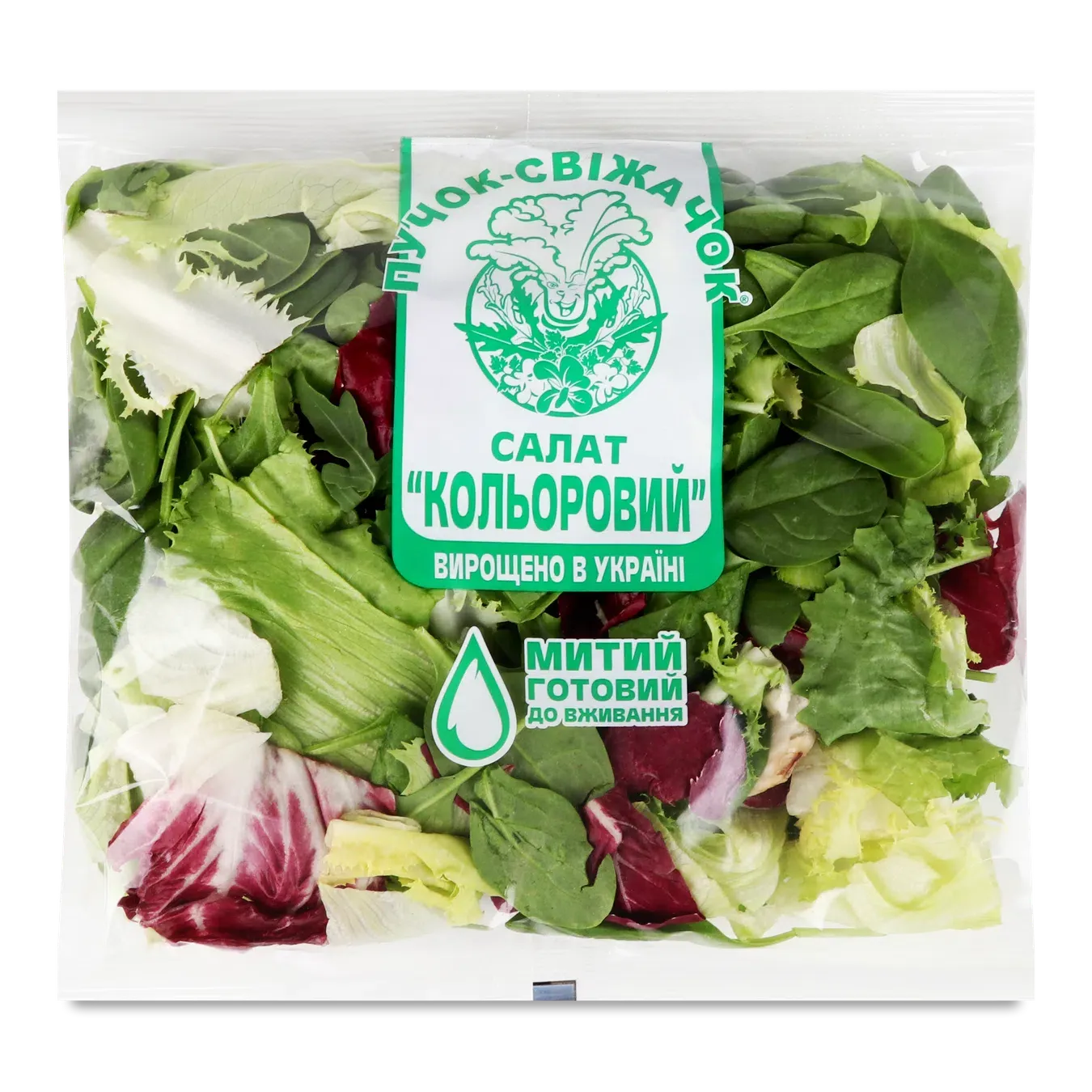 Салат Пучок-Свіжачок Кольоровий - Фото 1