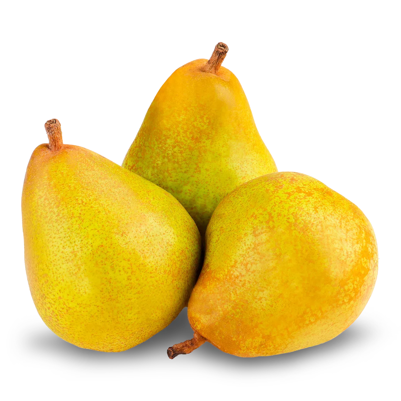 Груша Comice Doyaenne - Фото 1