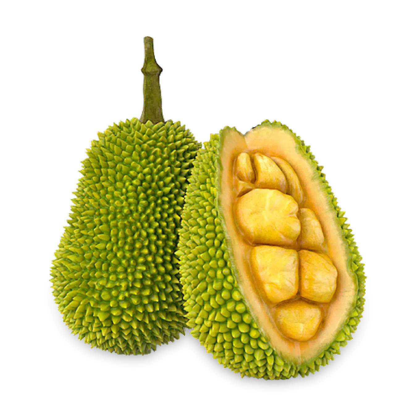 Джекфрут - Фото 1