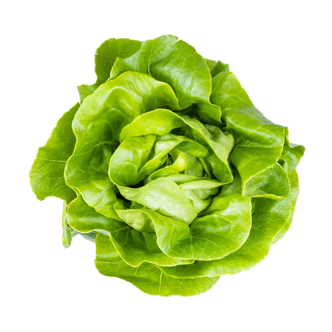 Салат «Бостон» - Фото 1