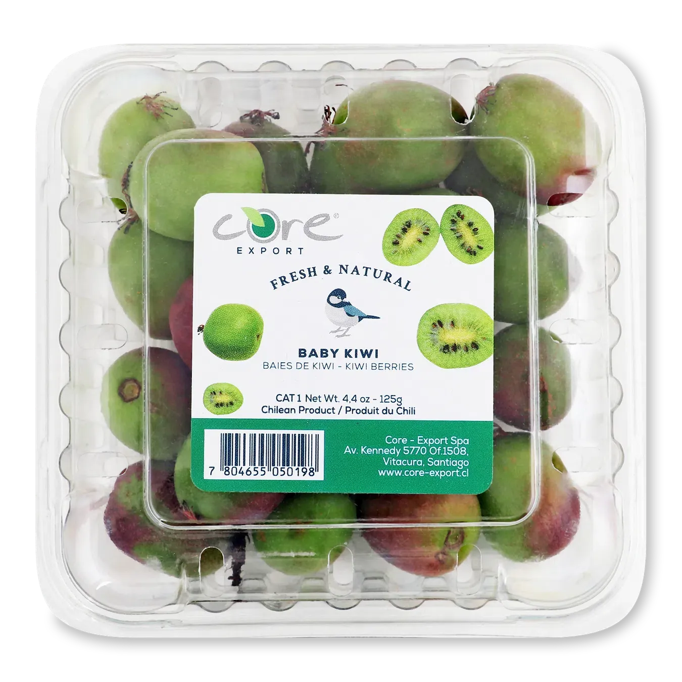 Актинідія - Фото 1