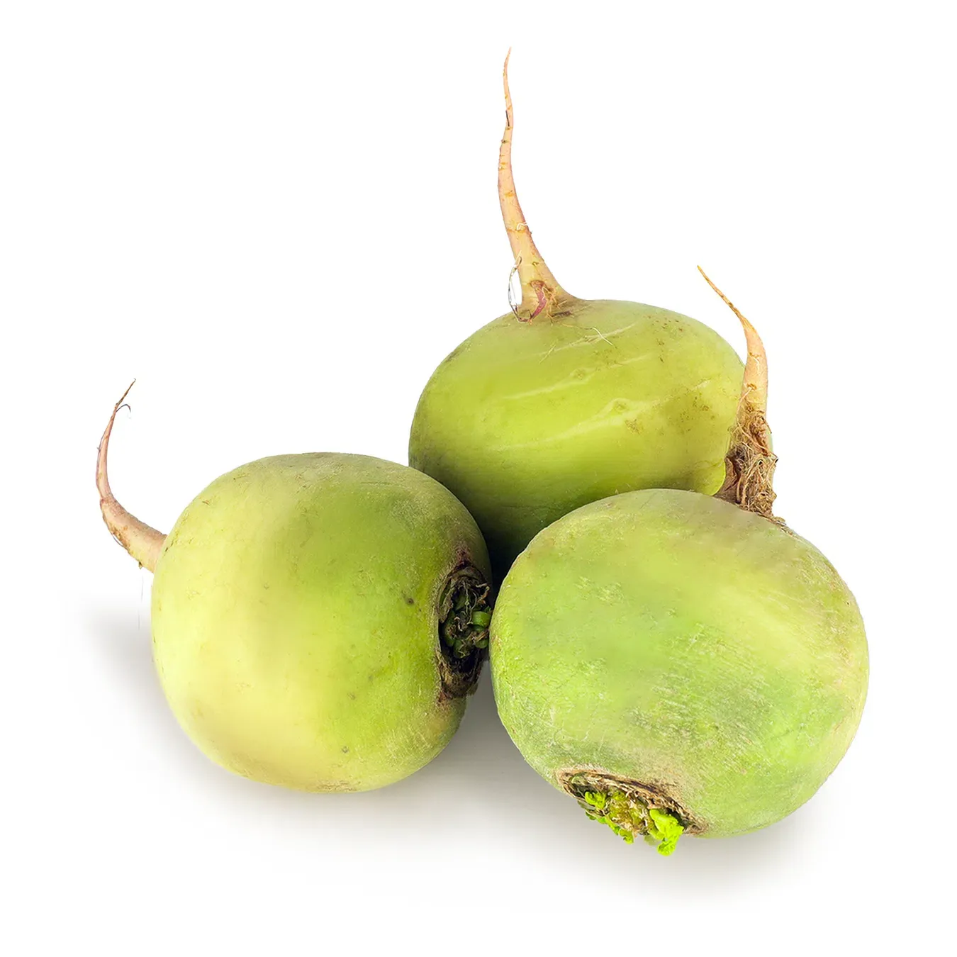 Редька японська Ред Міт - Фото 1