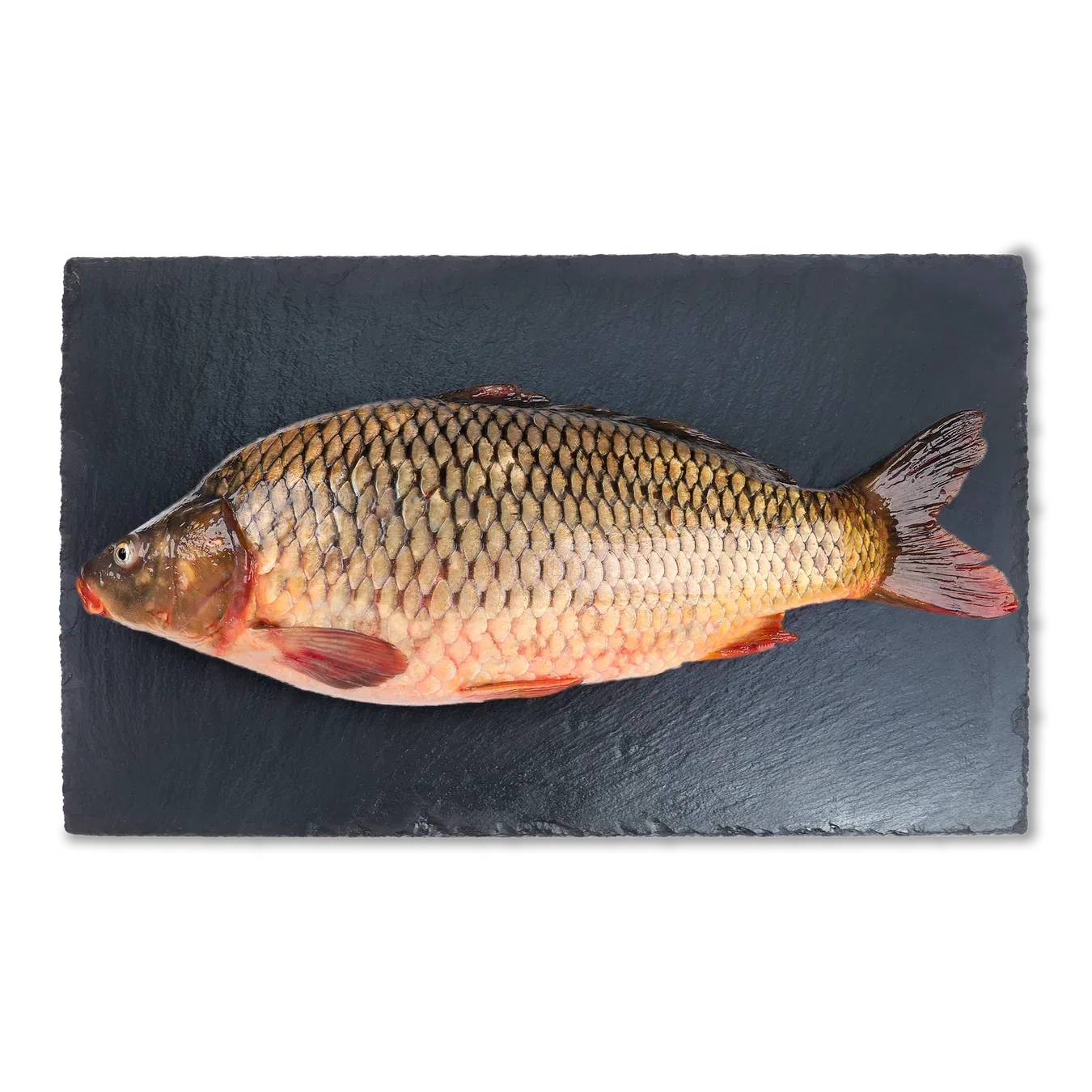 Сазан охолоджений - Фото 1