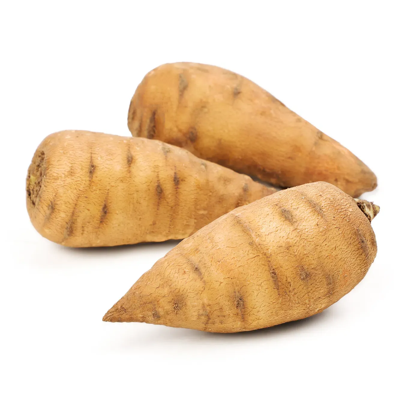 Корінь Кервеля - Фото 1