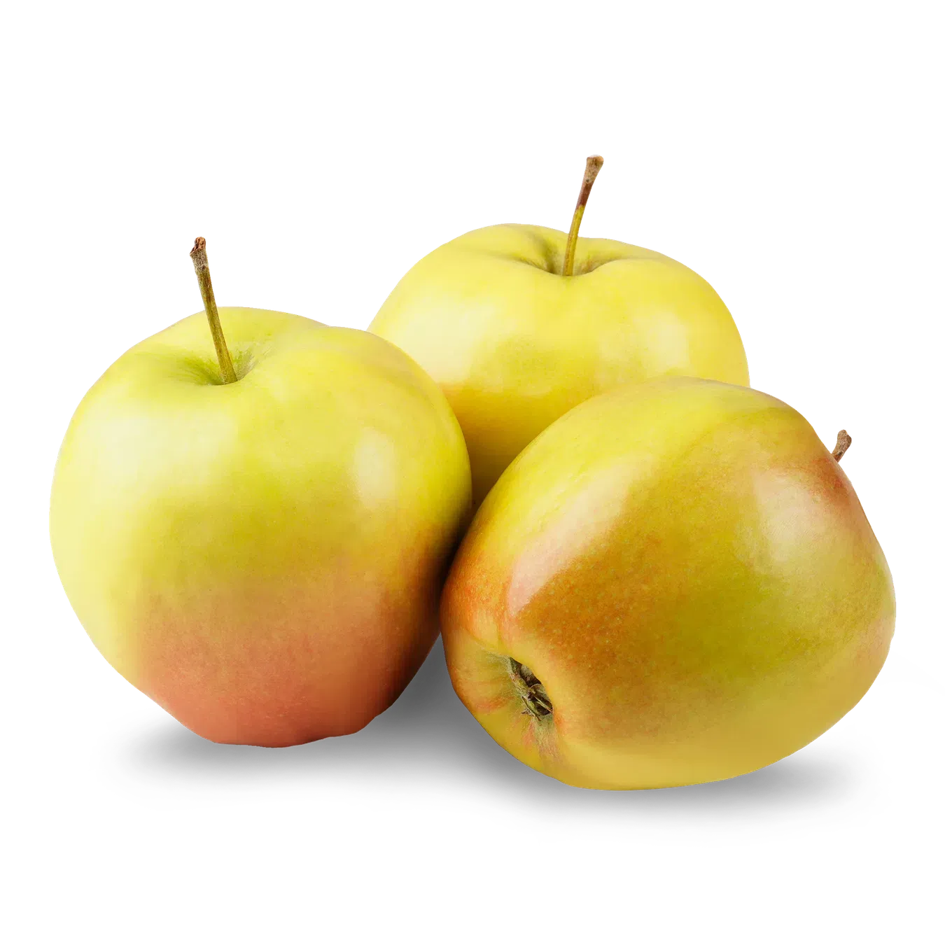 Яблуко Ліголь - Фото 1