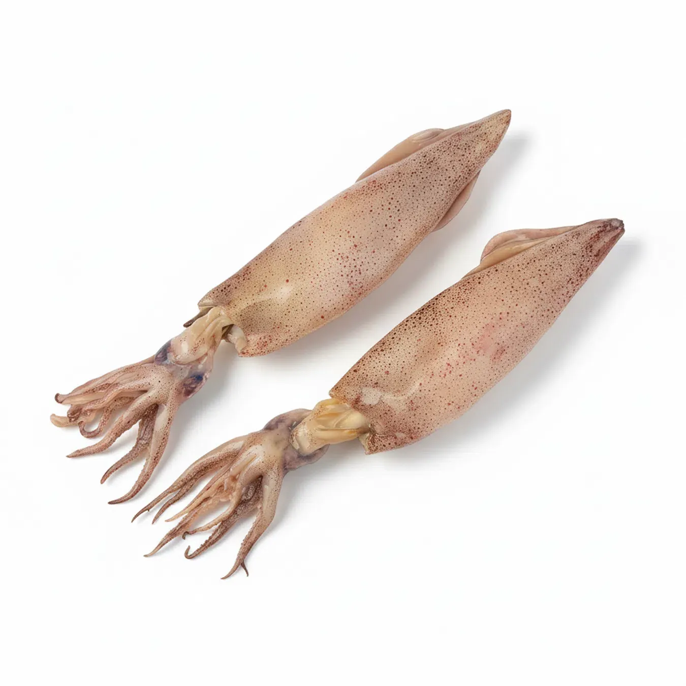 Кальмар очищений охолоджений - Фото 1