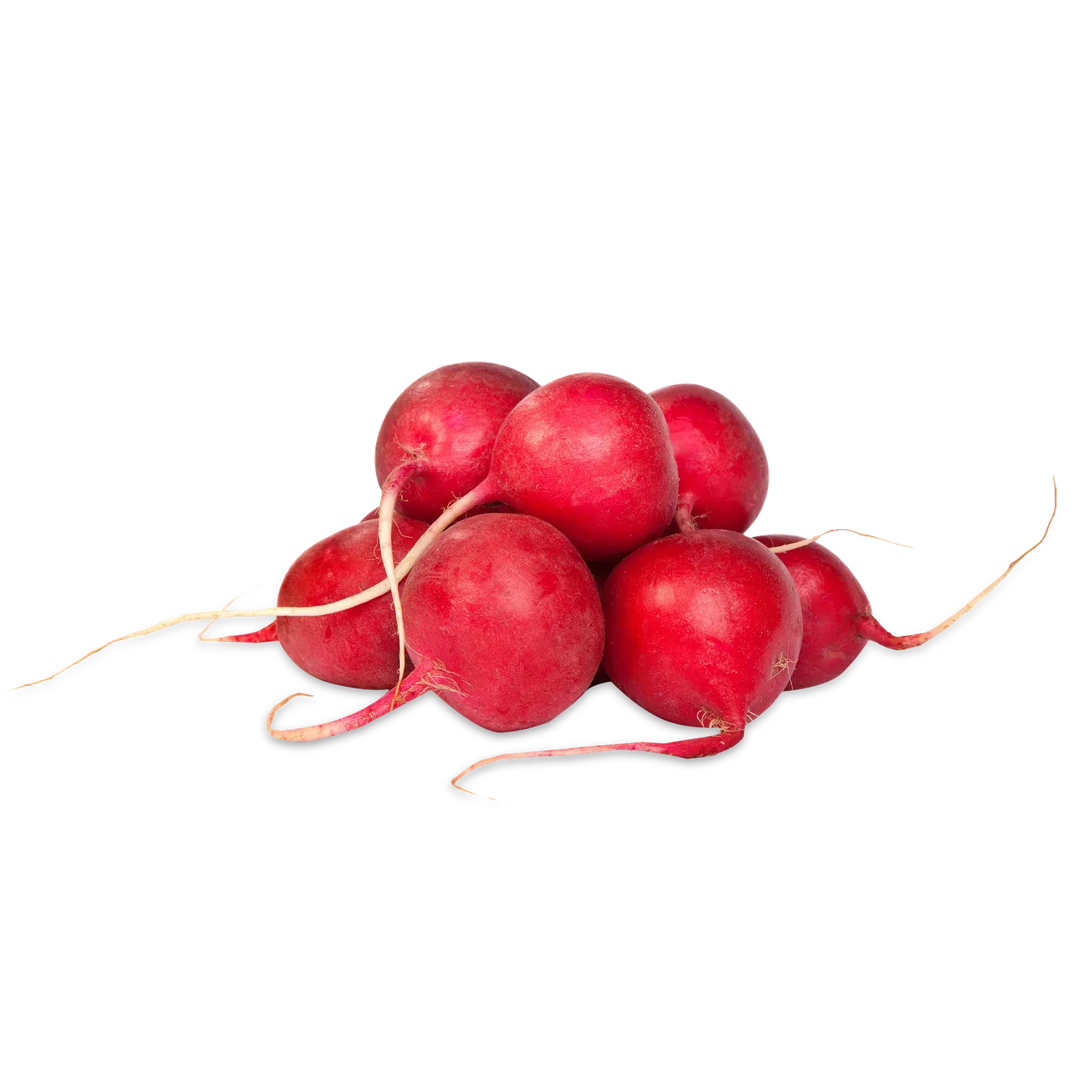 Редиска - Фото 1