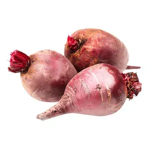 Буряк молодий Азербайджан - Фото 1