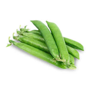 Горох - Фото 1