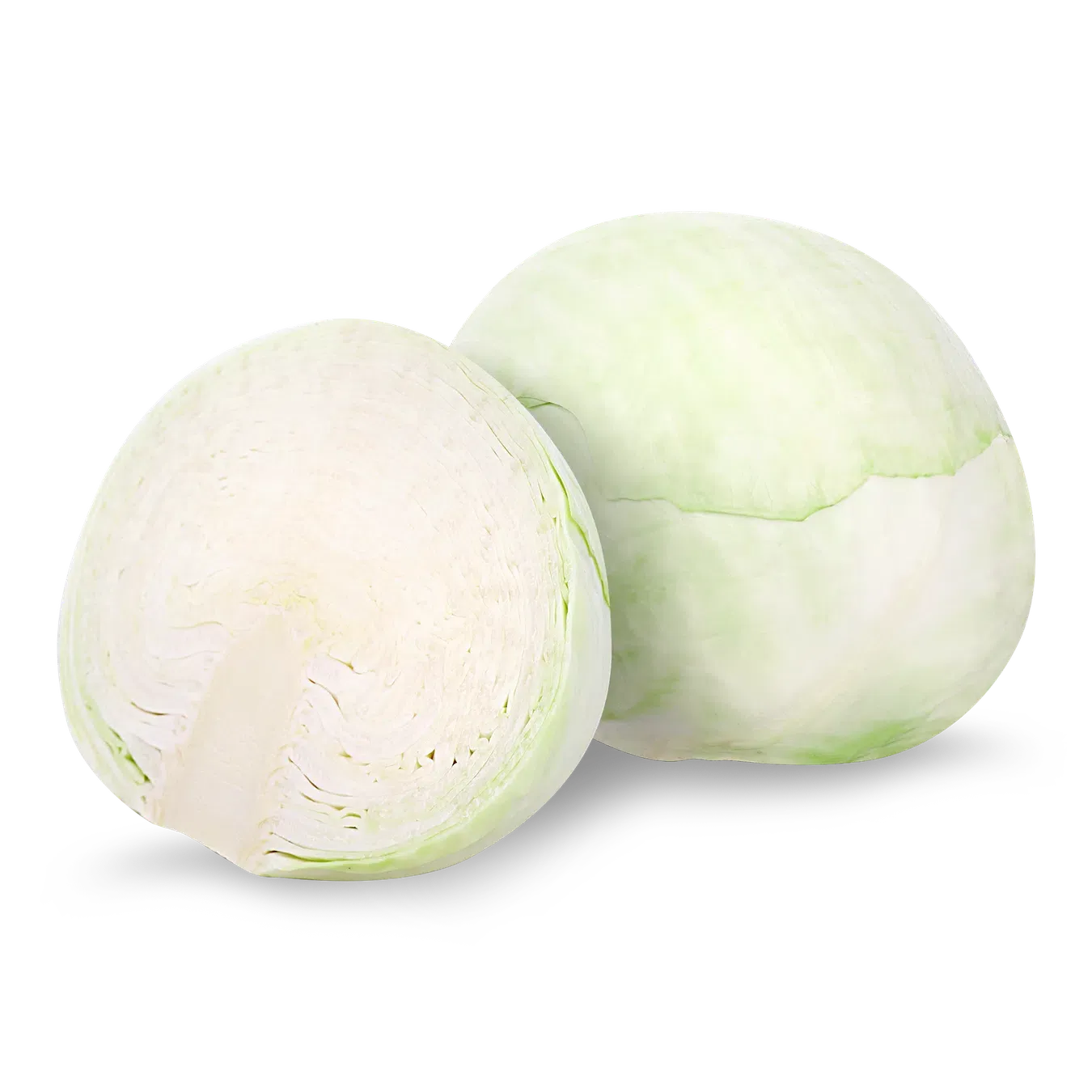 Капуста білоголова - Фото 1