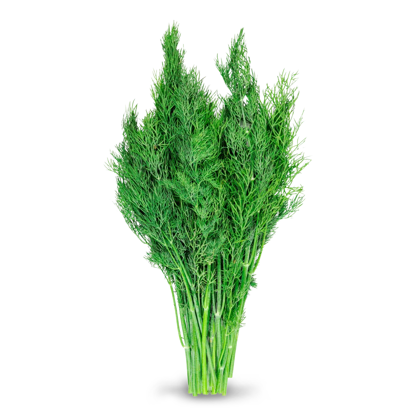 Кріп пучок - Фото 1