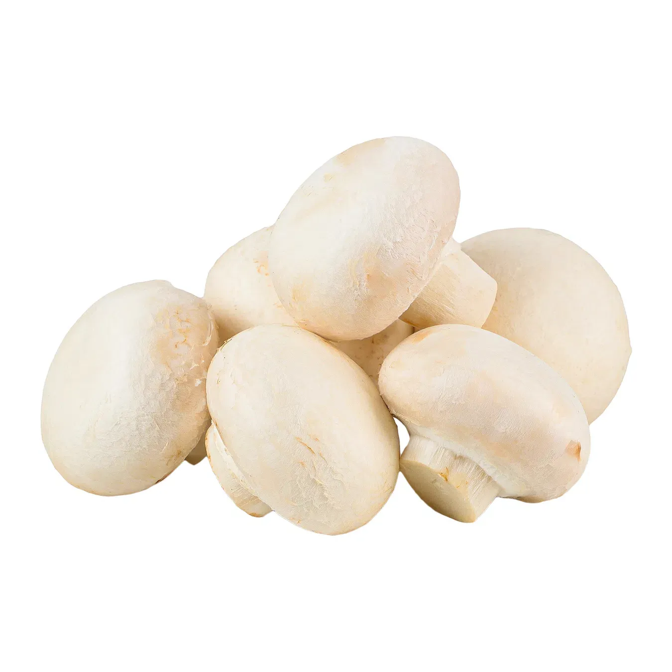 Гриби печериці - Фото 1