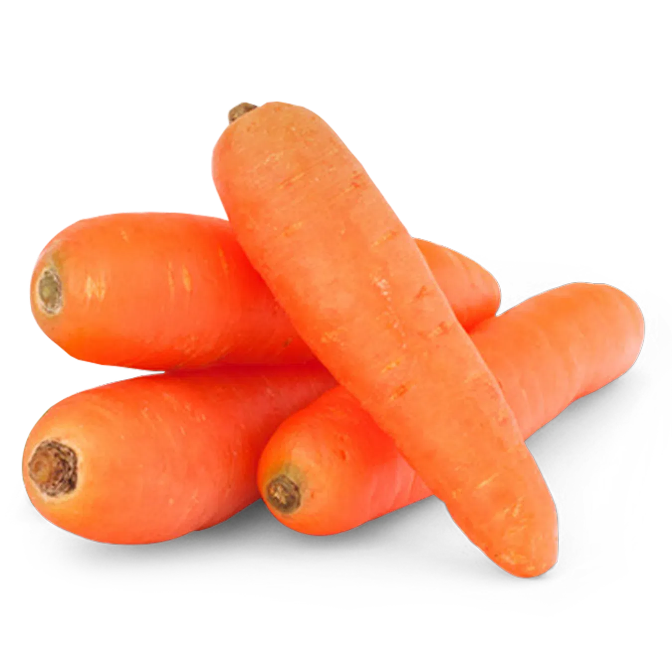 Морква відбірна - Фото 1