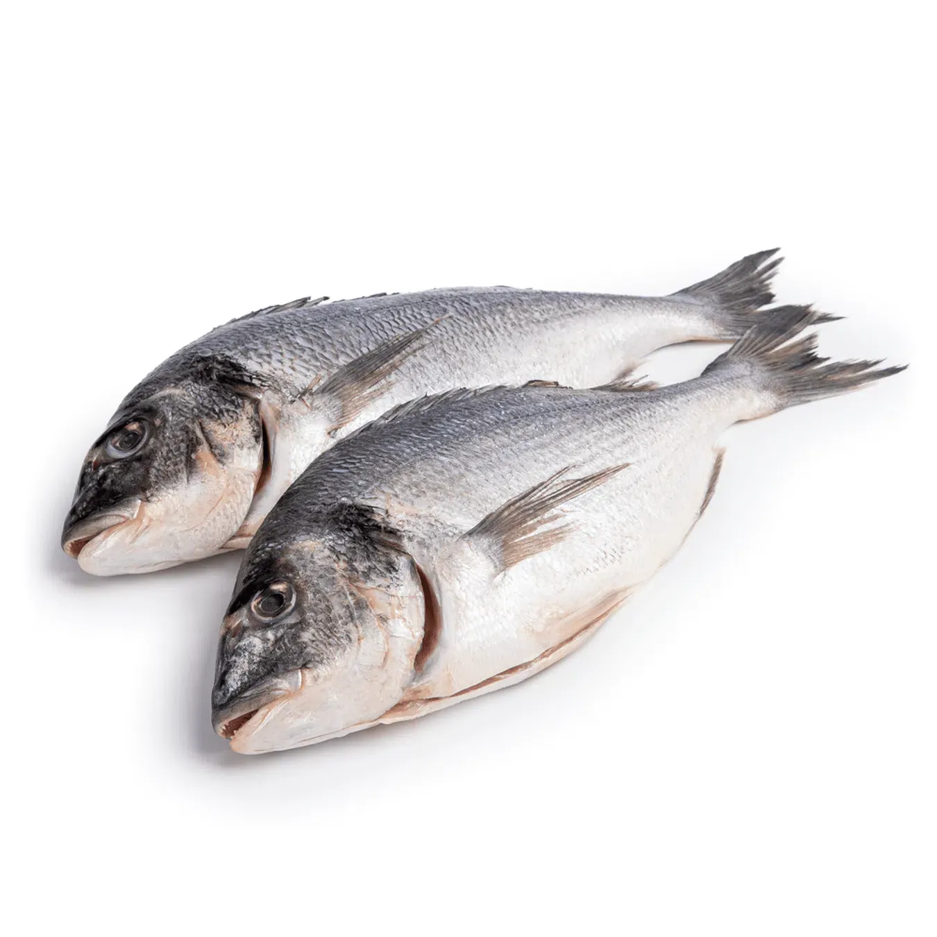 Дорадо патраний чищений охолоджений 300-600 - Фото 1