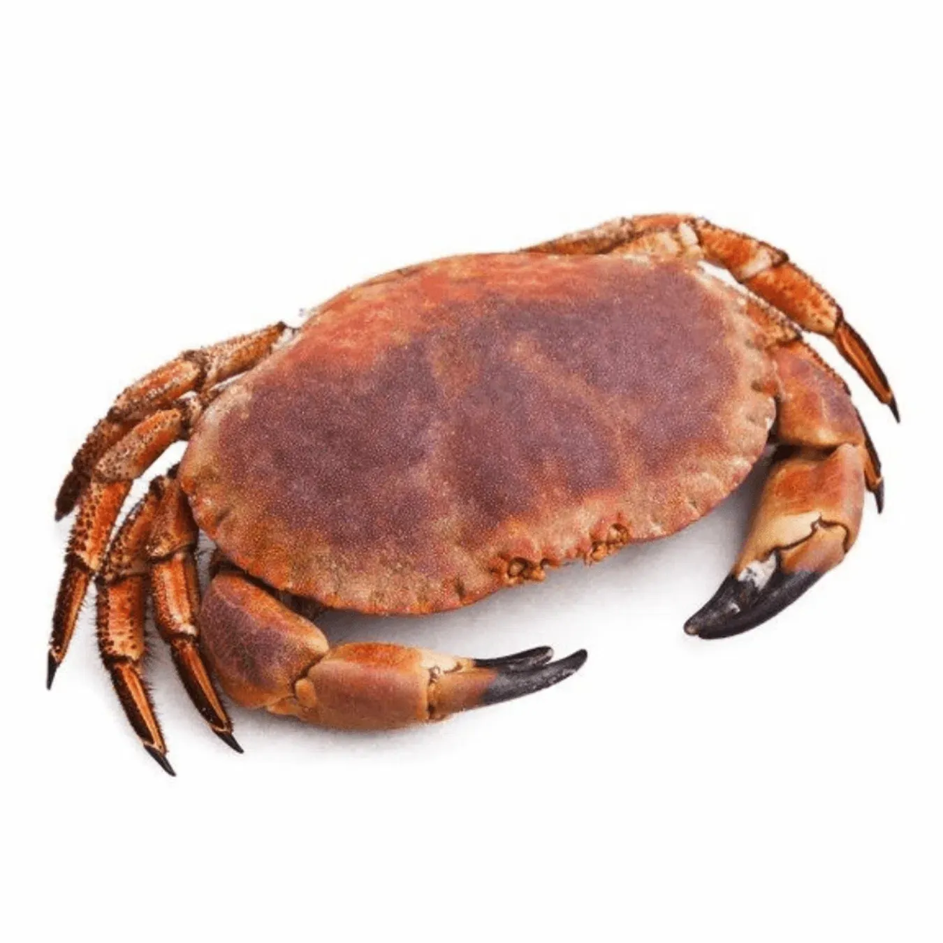 Краб свіжоморожений - Фото 1