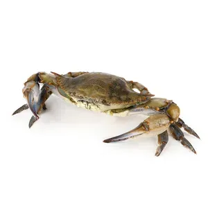 Краб C&C Seafood блакитний заморожений - Photo 1