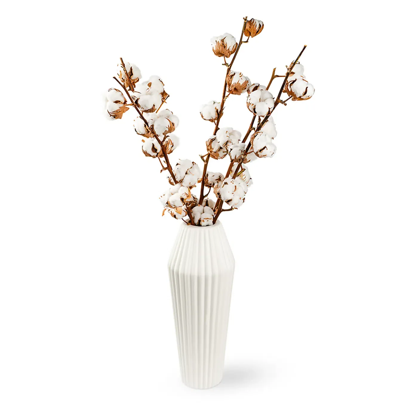 Бавовна - Фото 1