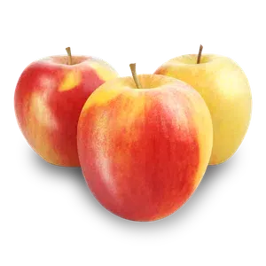 Яблуко Пінова відбірне - Фото 1