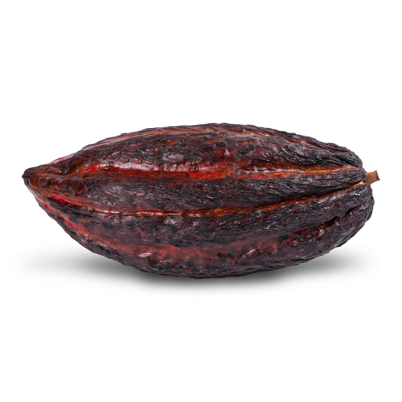 Какао плід - Фото 1