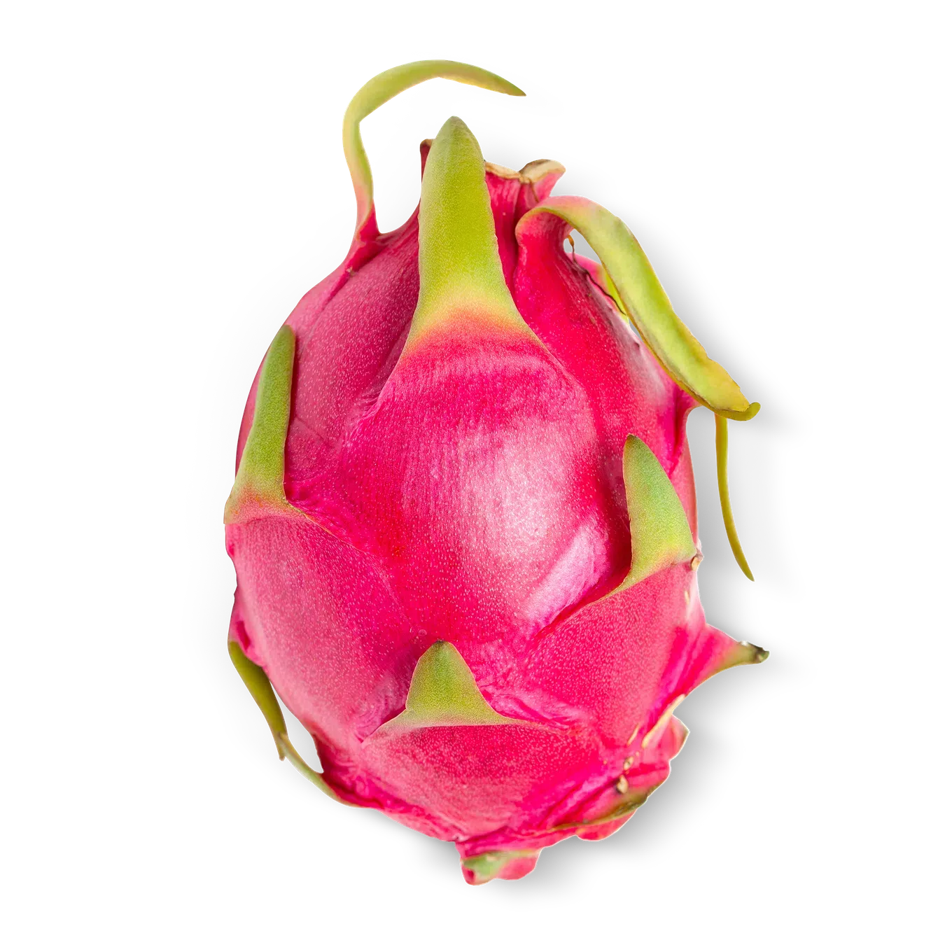 Пітахая червона - Фото 1