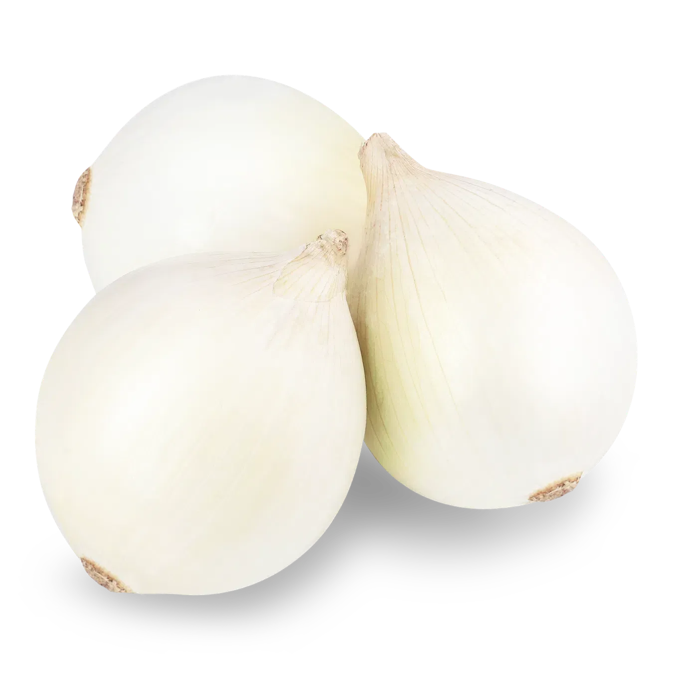 Цибуля біла особлива - Фото 1