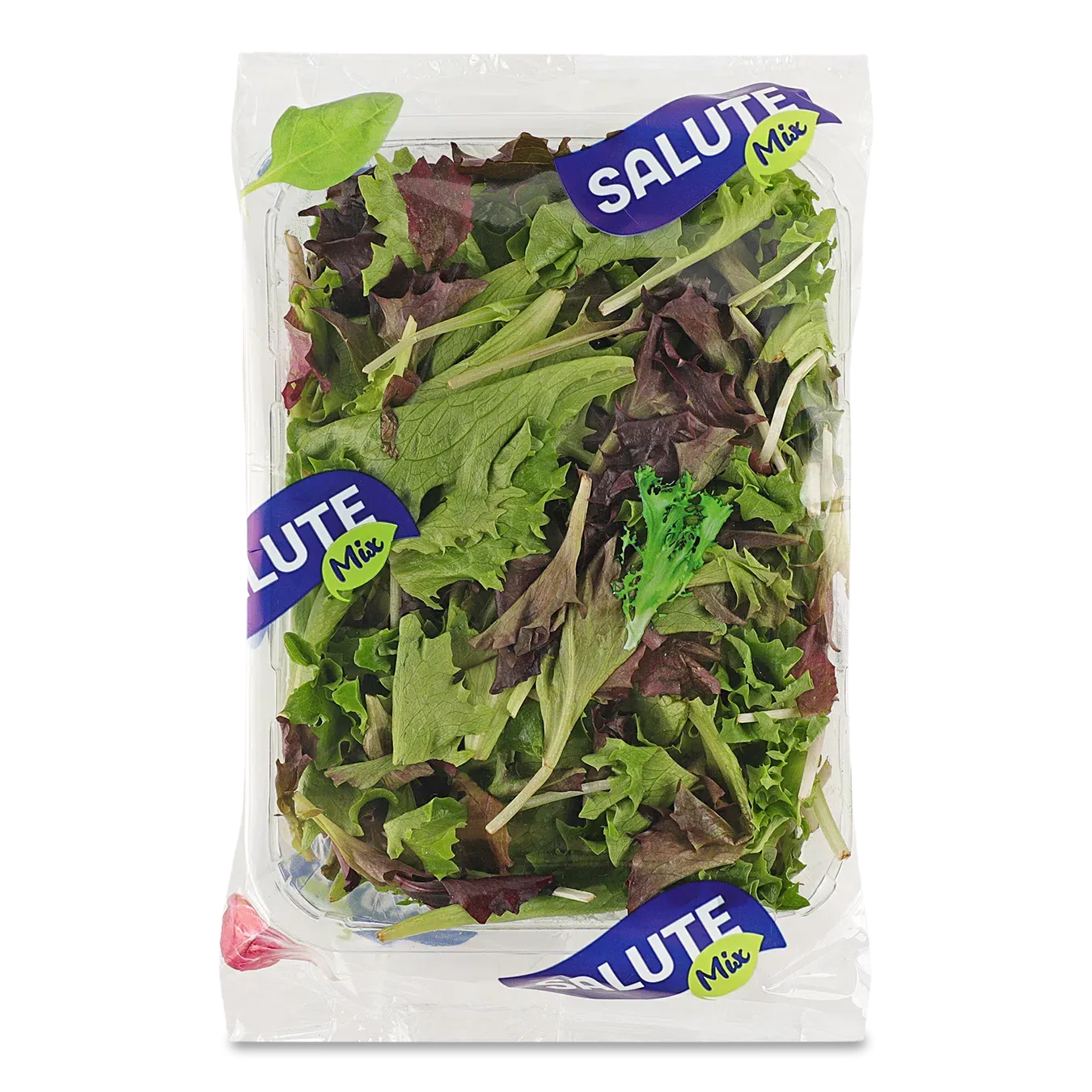 Мікс Salute Mix Айсберг міні - Фото 1