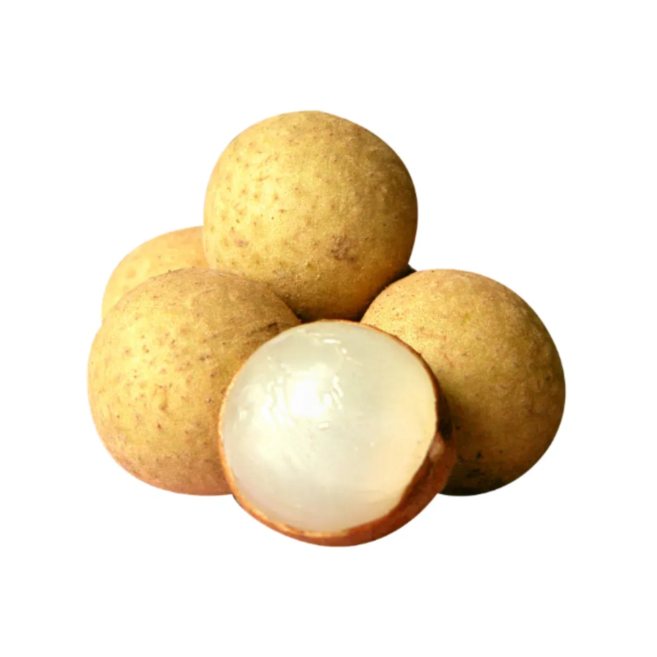 Лонган - Фото 1