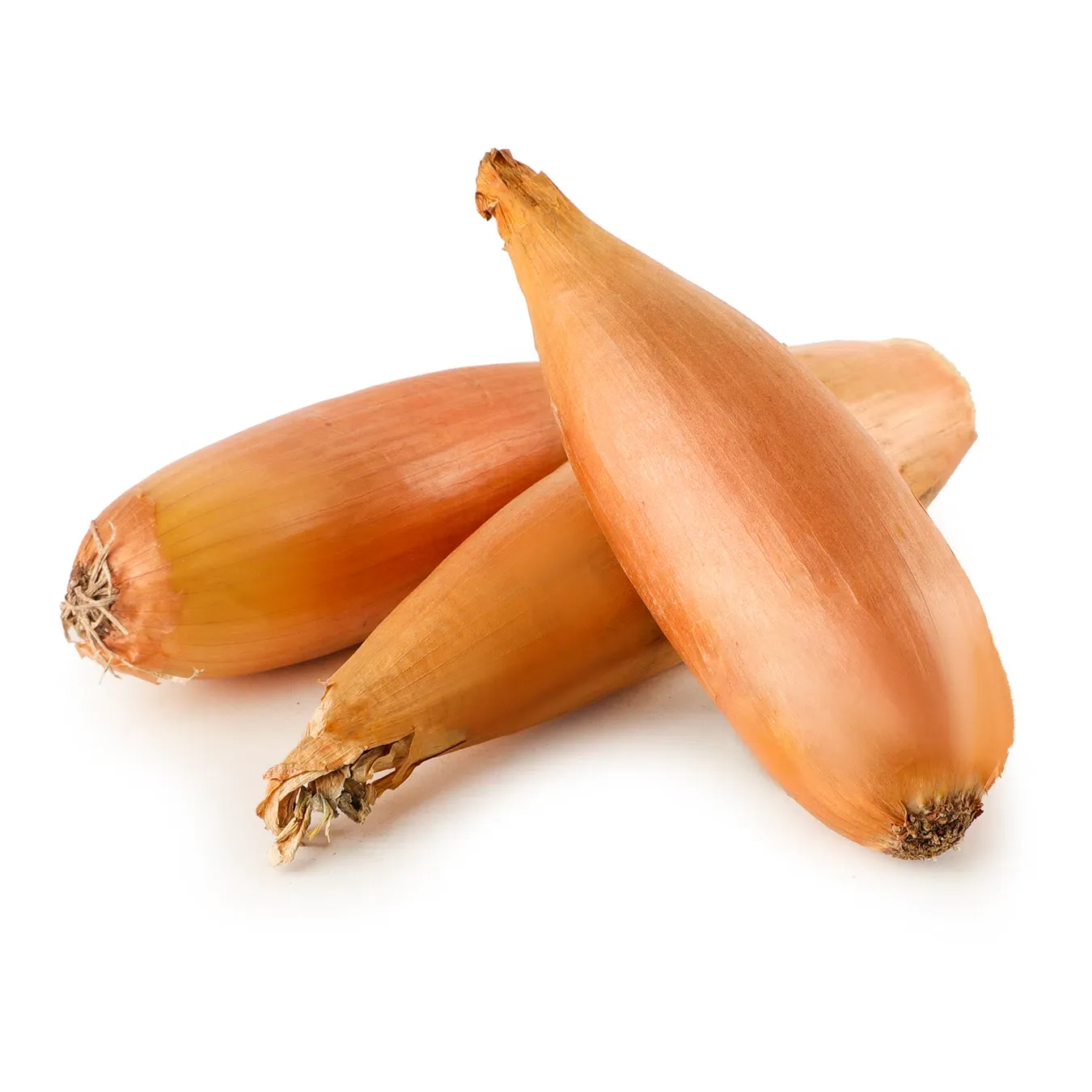 Цибуля шалот бананова - Фото 1