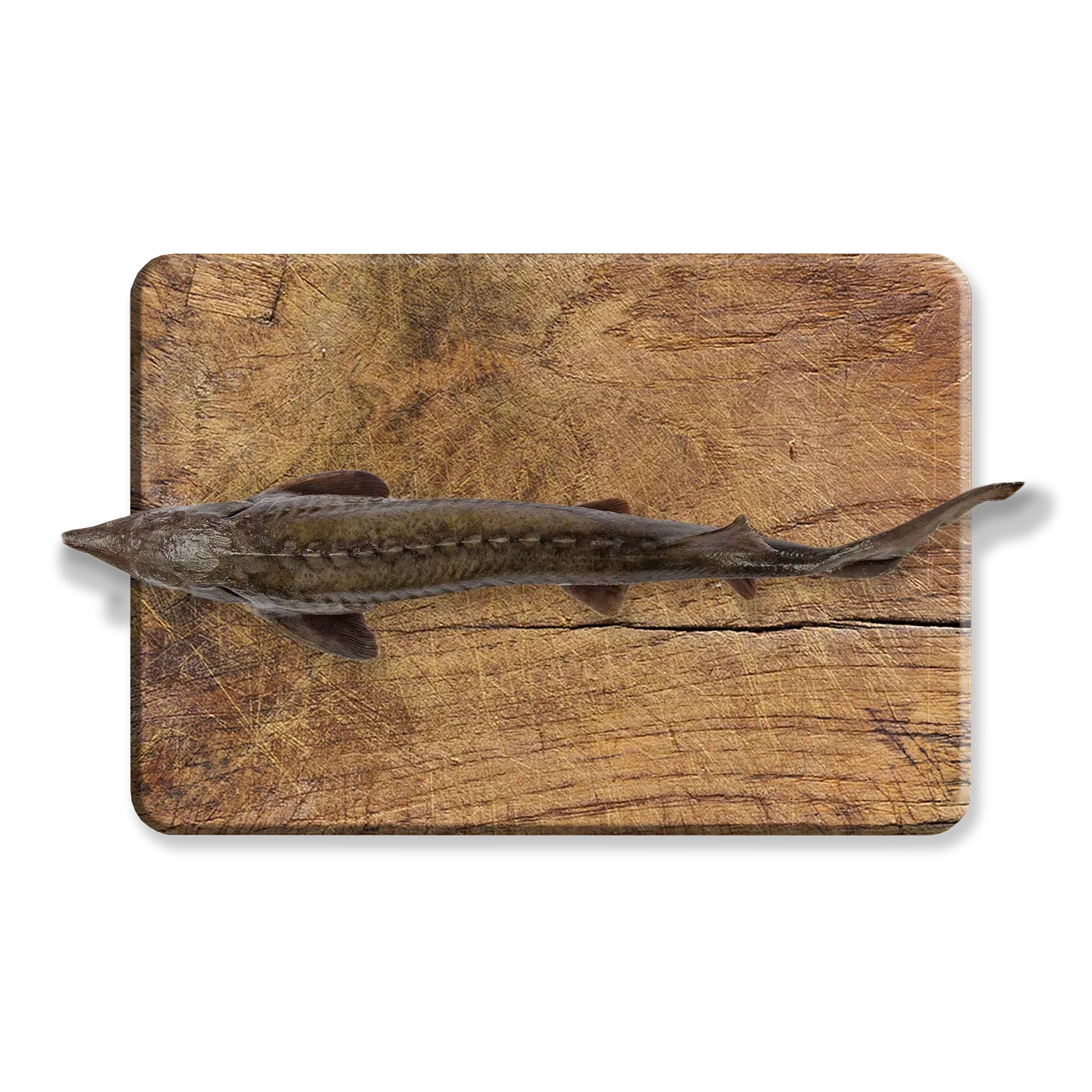 Осетер охолоджений - Фото 1