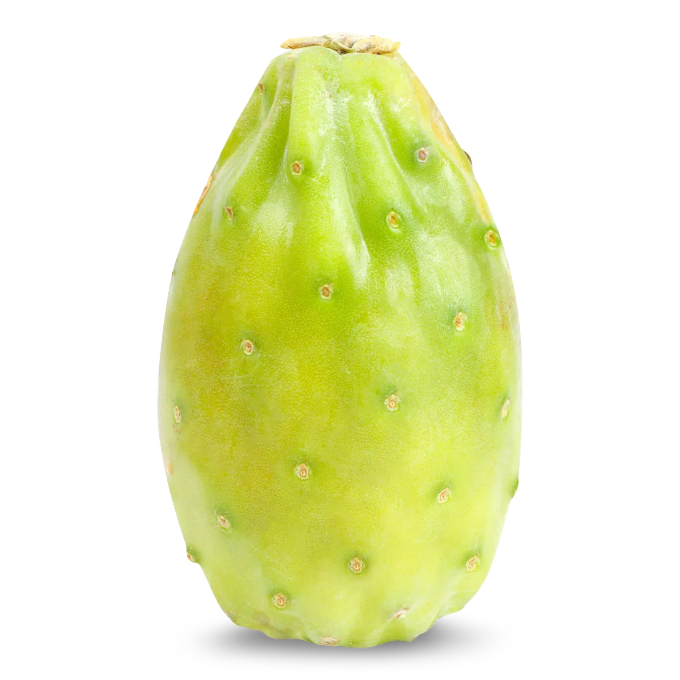 Кактус плід - Фото 1