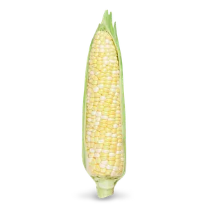 Кукурудза Ракель біколорна цукрова - Фото 1