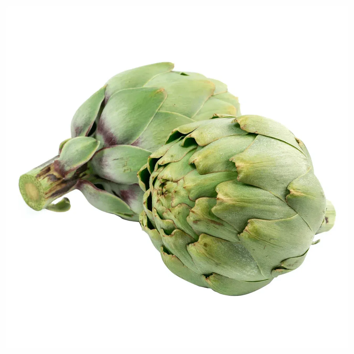 Артишок - Фото 1