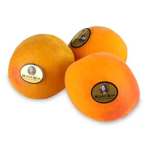 Абрикос Мона Ліза - Фото 1