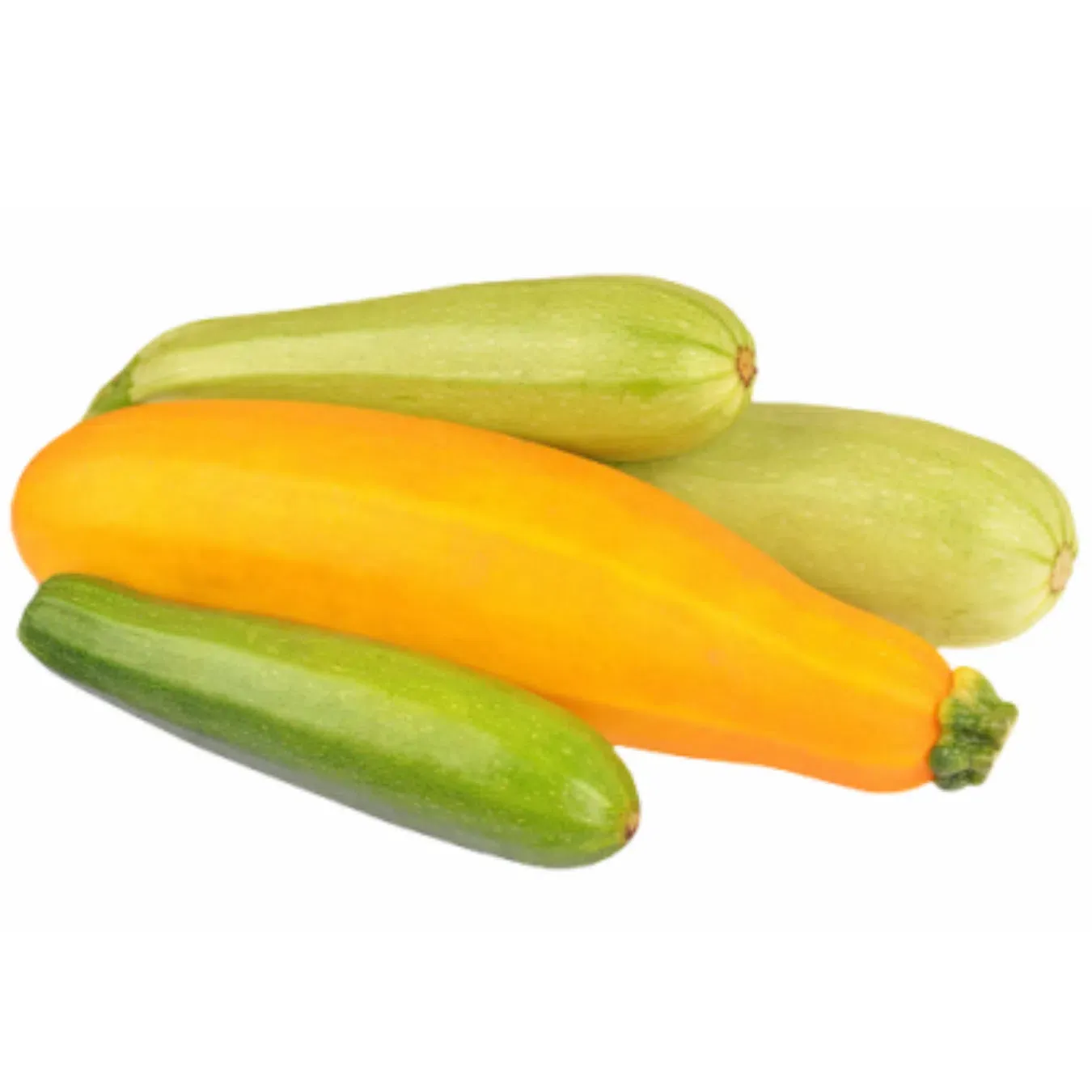 Кабачок відбірний - Фото 1