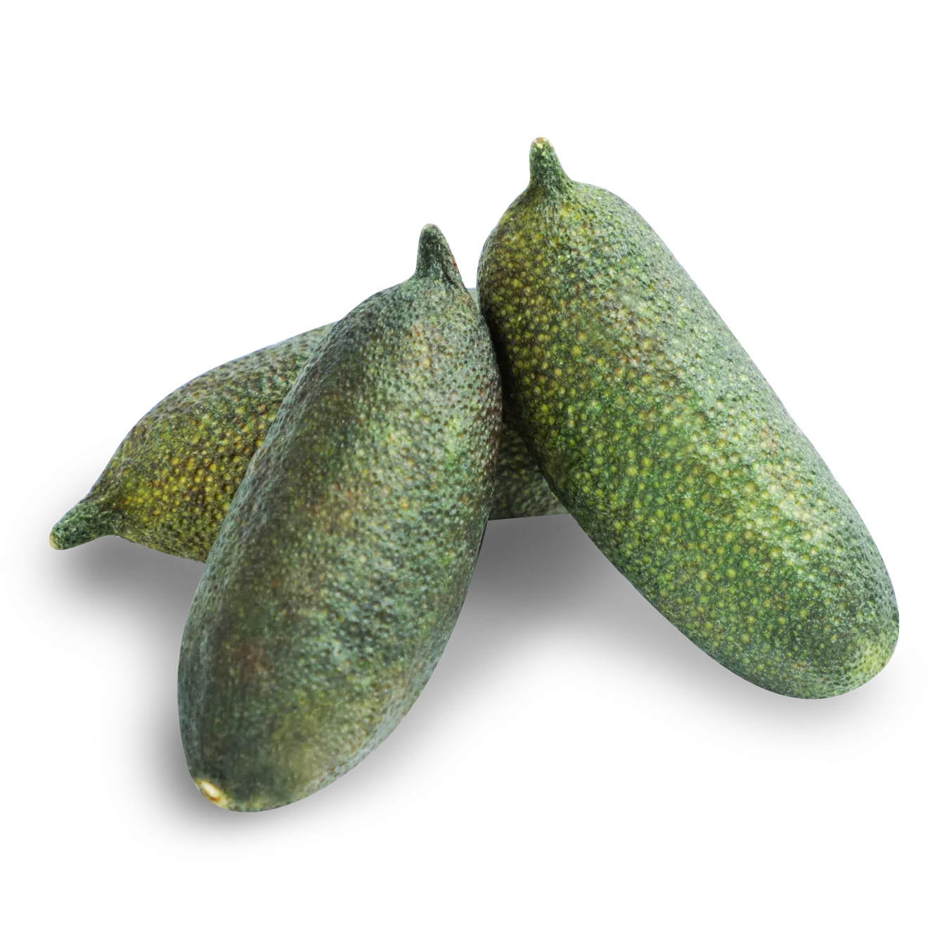 Лайм Фінгер - Фото 1